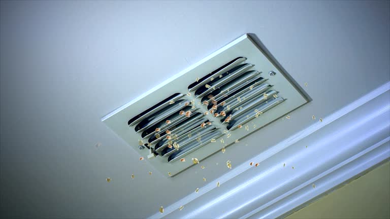Best Residential Air Duct Cleaning  in Haubstadt, IN