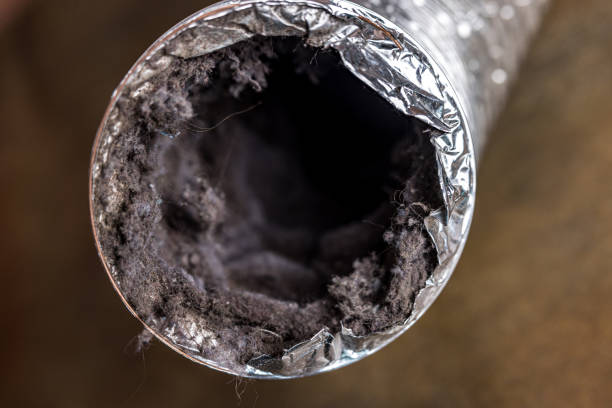 Home Air Vent Cleaning in Haubstadt, IN