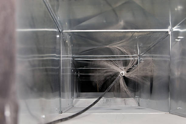 Best Air Duct Sanitizing Services  in Haubstadt, IN